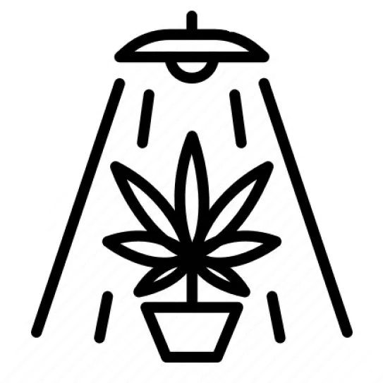 Fotoperiodo de crecimiento 