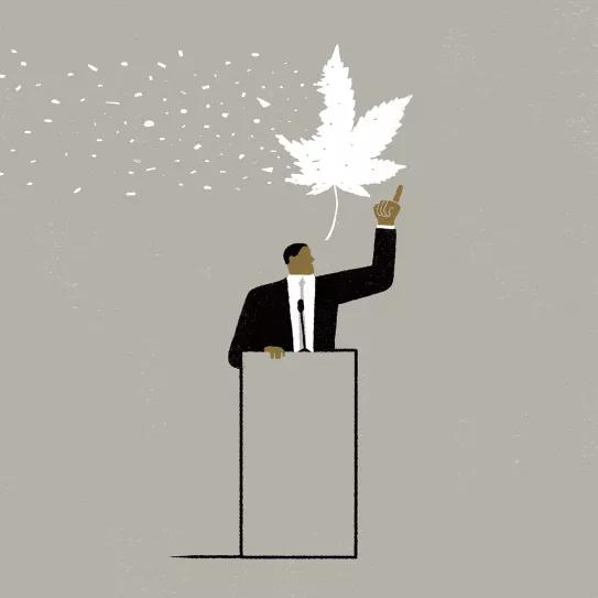 La legalización, la travesía por el desierto. Ilustración de Martin Elfman