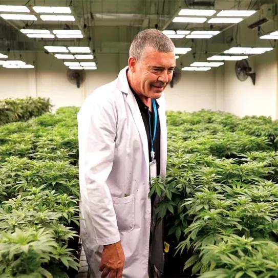 El sueño de vivir del cannabis. Entrevista a Jaime Carrión