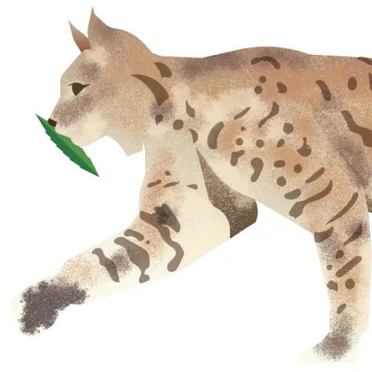 Política ideal y mejores políticos 