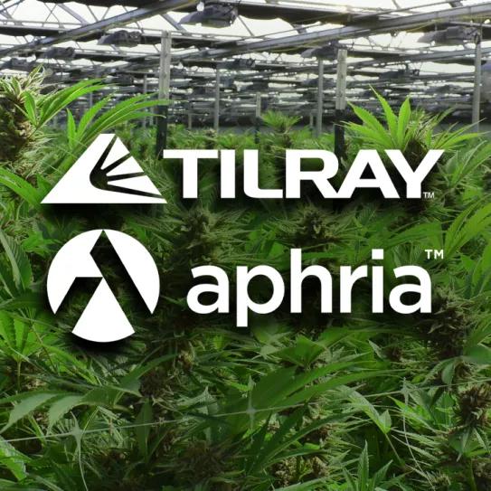 La fusión de Tilray y Aphria crea la empresa más grande del sector cannábico 
