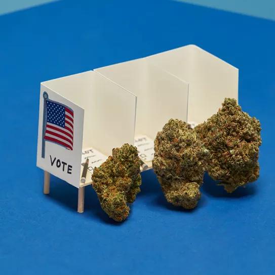 Los votantes de Georgia decidirán el futuro de la hierba en todo EE UU 