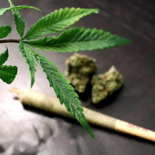 Absuelven a los tres fundadores de un club madrileño