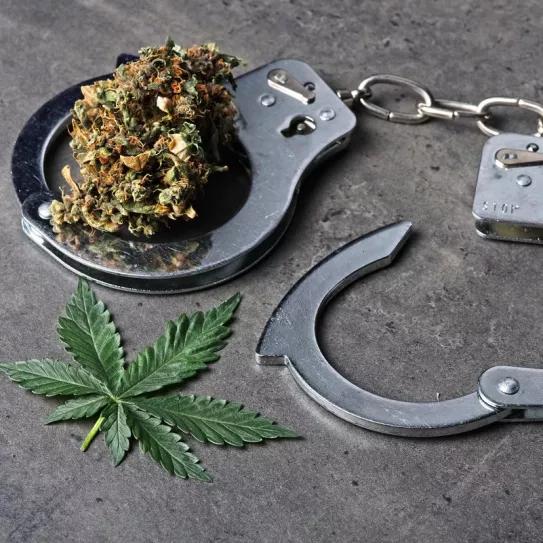 Un juez despenaliza la posesión de varias drogas en Mar del Plata, Argentina