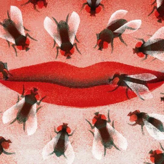 “En boca cerrada, no entran moscas”