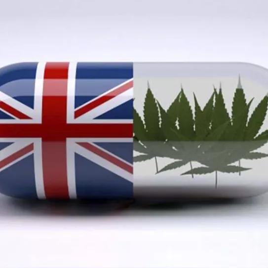 Reino Unido entrega una segunda licencia de producción de cannabis 