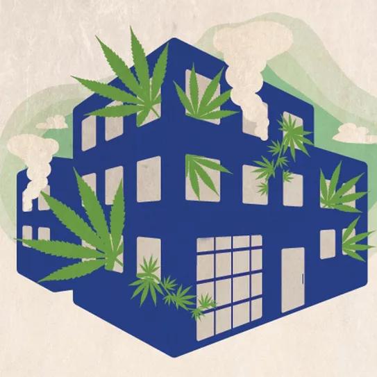 Editorial Cáñamo #278