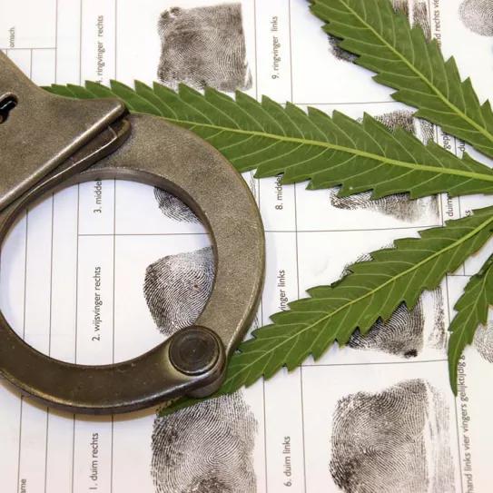 La criminalización de las personas usuarias de cannabis continúa en Chile