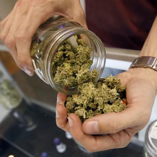 Juicio contra tres responsables de un club cannábico de Valladolid