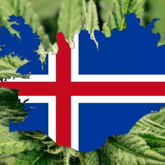 El Gobierno de Islandia propone una despenalización de las drogas