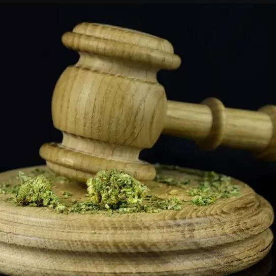 Un juez solicita un informe al Ministerio de Interior para valorar la legalidad de un club