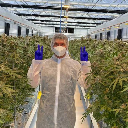 Australia cierra un contrato de exportación de cannabis a Alemania