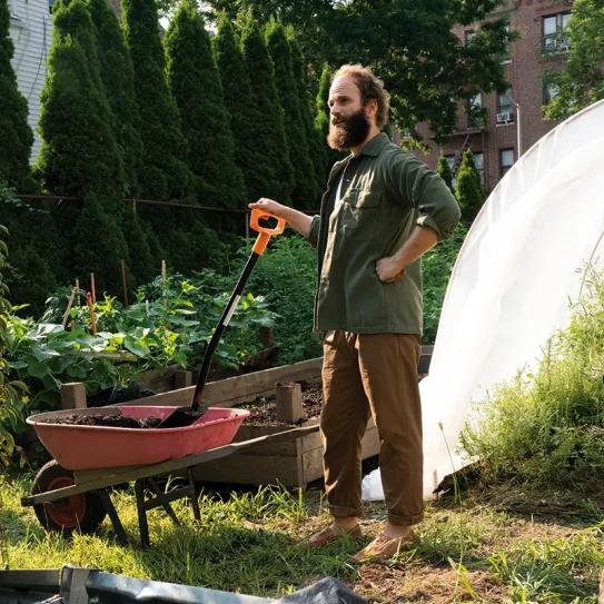 El cannabis crece en la pequeña pantalla