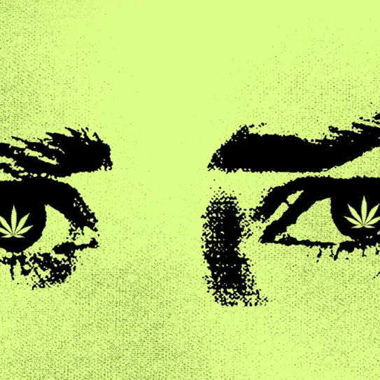 ¿Qué hago en caso de mal viaje? 