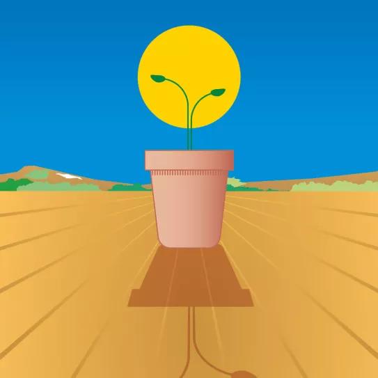 Lunario de abril del 2021 