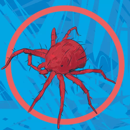 La cosecha desastrosa 