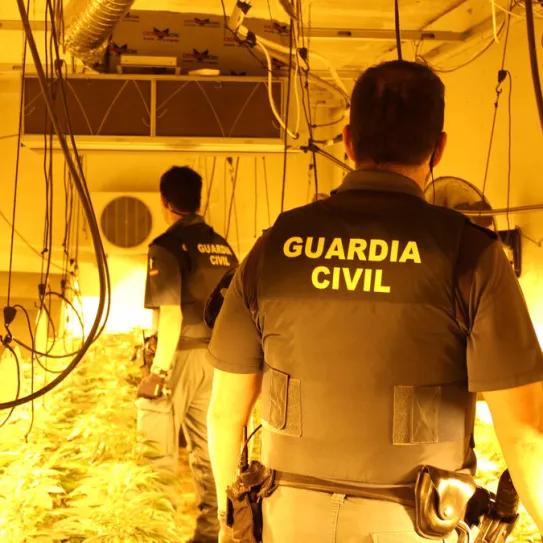 La Guardia Civil ultima el Proyecto MArIA para detectar cultivos de cannabis a través de la red eléctrica