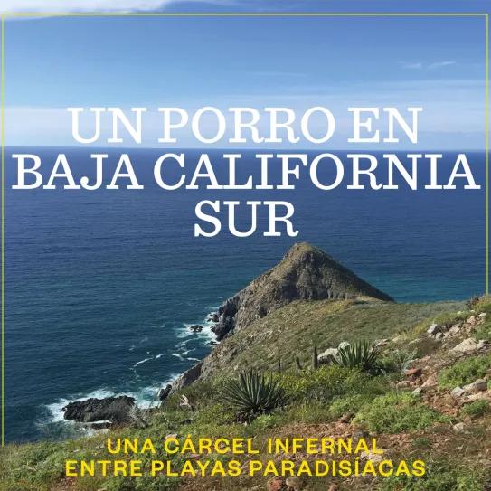 Un porro en Baja California Sur