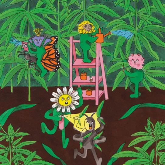 Mayo: germinar y crecer