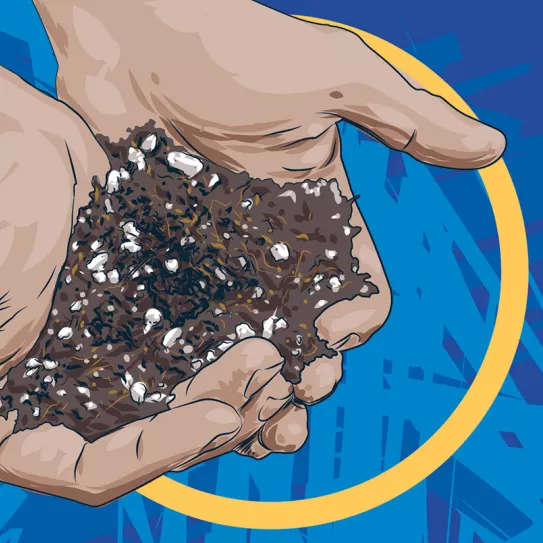 Tierra orgánica que no hay que abonar 