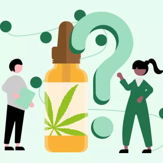 Las licencias del ministerio 