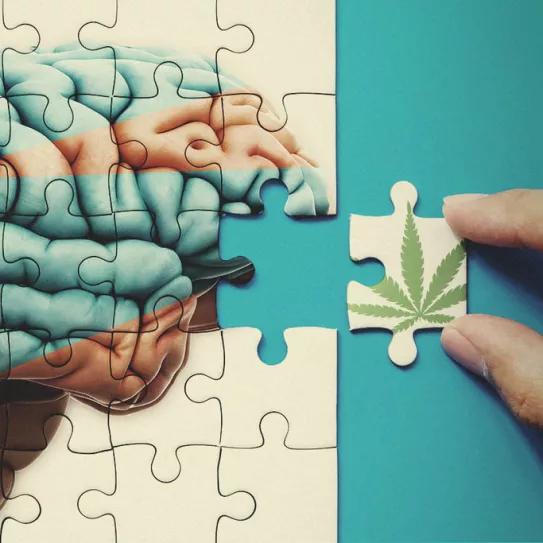 Publican una revisión de los estudios sobre uso de cannabis en autismo infantil