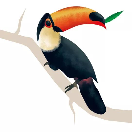 Feliz año cannábico y vacaciones tropicales exóticas