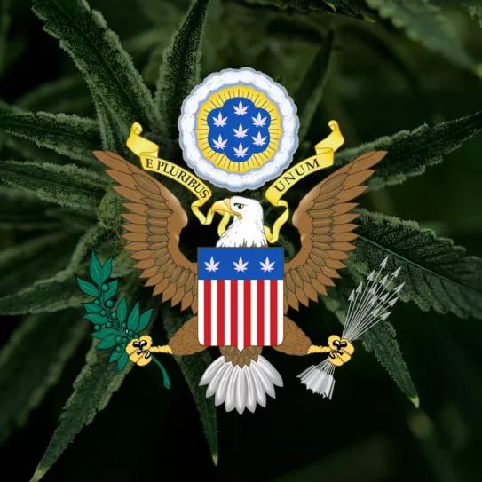 El proyecto de legalización federal vuelve al Congreso de EE UU 