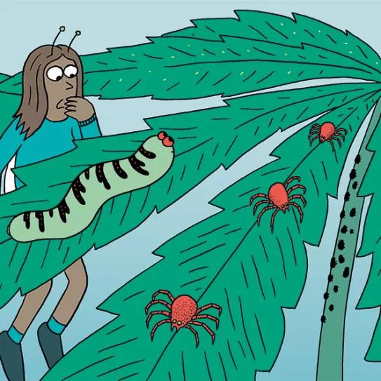 Las nueve peores plagas del cultivo y cómo combatirlas 