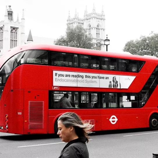 “Si estás leyendo esto tienes un sistema endocannabinoide”, anuncia una agencia británica 