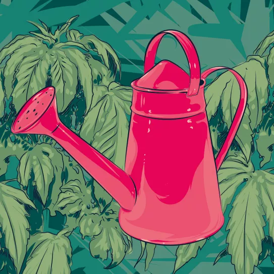 El riego con agua dura 