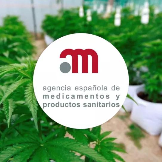 La Agencia del Medicamento entrega nuevas licencias de cannabis sin explicar nada
