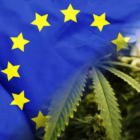 Eurodiputados crean un nuevo grupo parlamentario para el cannabis medicinal en la UE