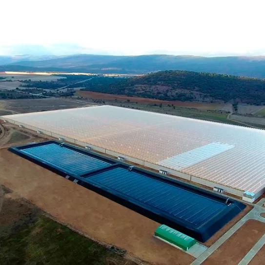 UGT pide a Sanidad la licencia de cannabis para la empresa Ondara en Garray (Soria)