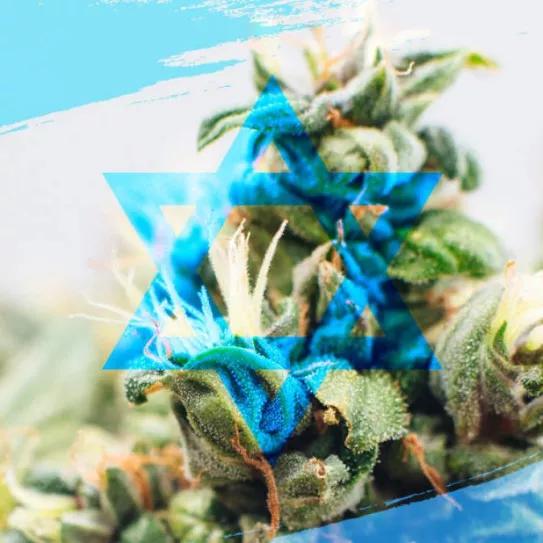 El Gobierno de Israel prepara una despenalización del cannabis