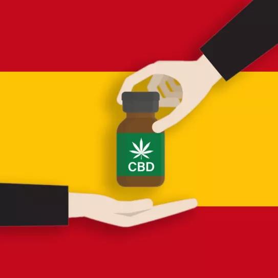 Expansión y represión del sector del CBD en España, un resumen del año