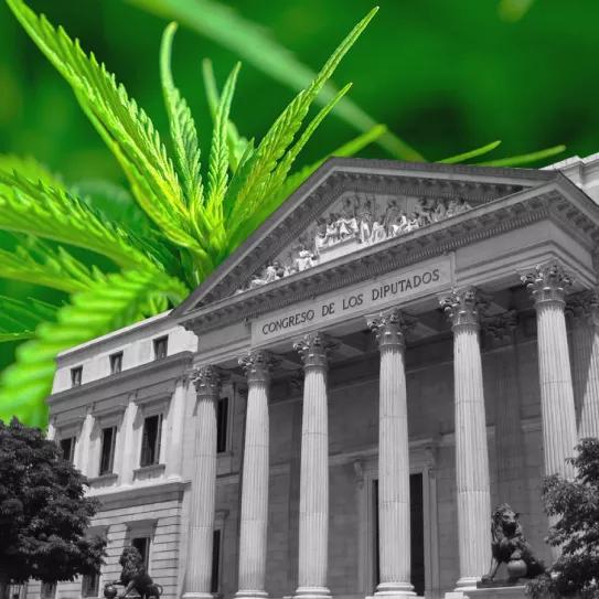 Propuestas legislativas y políticas sobre el cannabis en España, un resumen del año