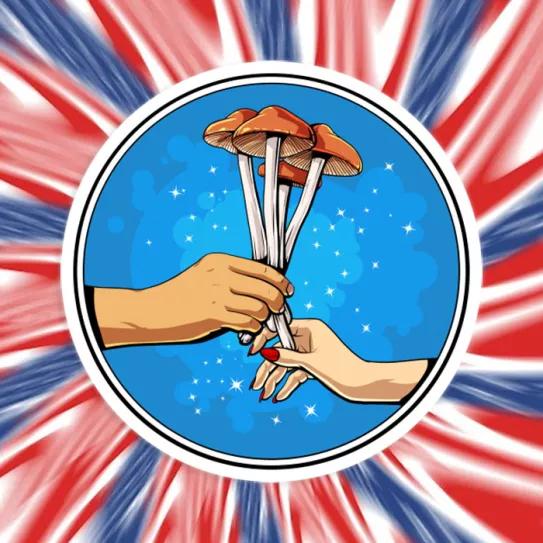 Las iniciativas políticas estadounidenses del año para despenalizar o regular los psicodélicos