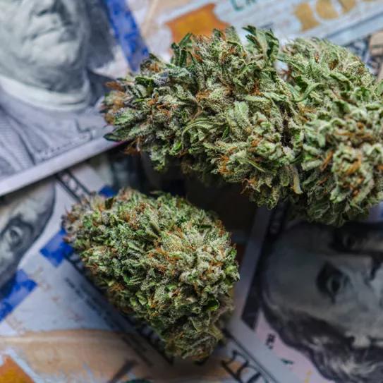 Illinois, Maine, Michigan y Misuri baten récords de ventas de cannabis en julio