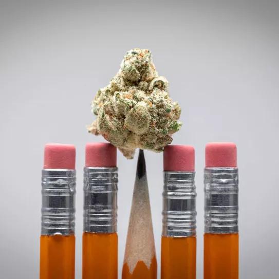 El Instituto Nacional de Drogas admite que la legalización en EE UU no ha aumentado el uso adolescente 