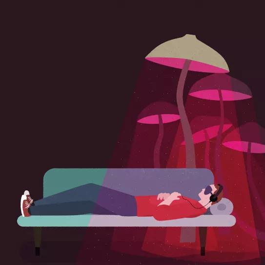 Psilocibina. Variedades de la terapia psiquedélica III