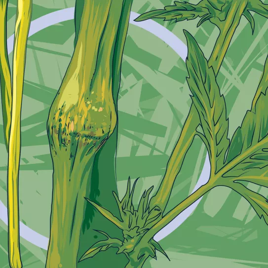 Las tormentas no me dejan dormir tranquila 