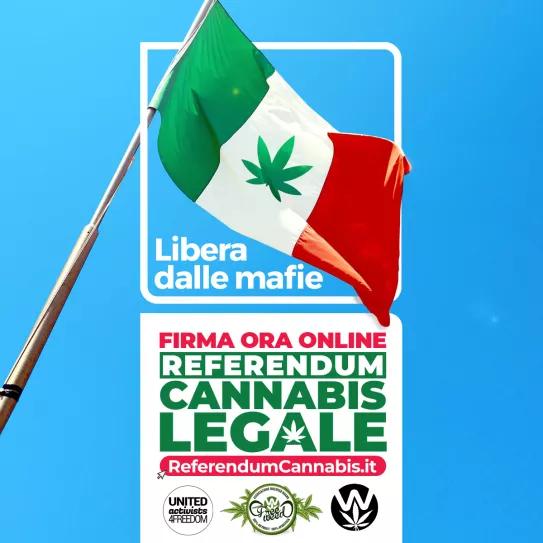 Activistas italianos inician una recogida de firmas por la despenalización del cannabis 