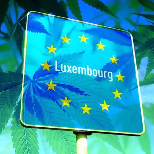 El Gobierno de Luxemburgo presentará su propuesta de regulación del cannabis en octubre