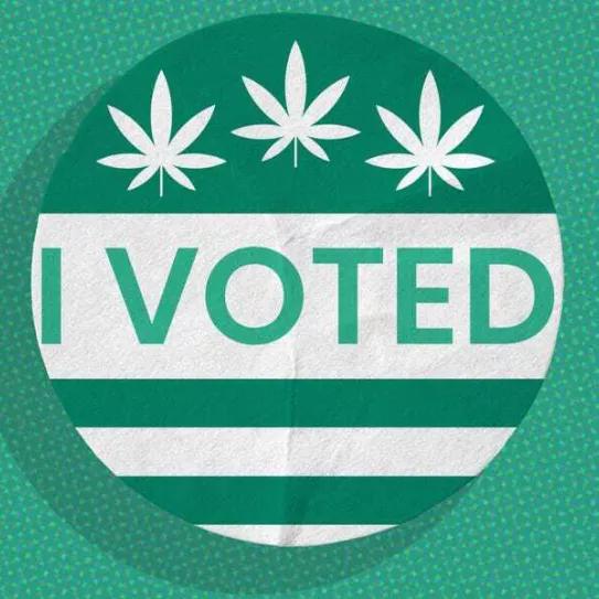 14 municipios de Ohio votarán para despenalizar el cannabis en noviembre
