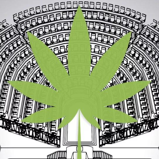 Comparamos las tres proposiciones de ley para regular el cannabis en España