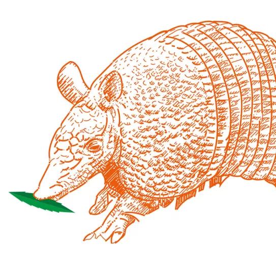 Observatorio Norteamericano Encerrados por fumar 