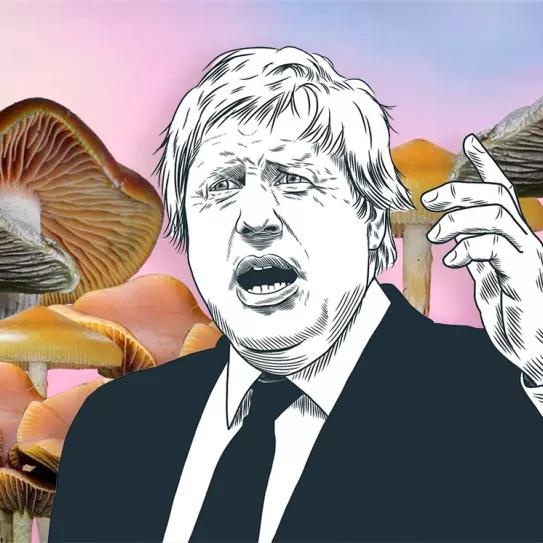 Boris Johnson dice que considerará reducir las restricciones sobre los hongos psilocybe