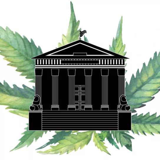 La regulación en el Parlamento