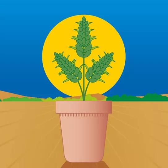 Lunario de noviembre 21